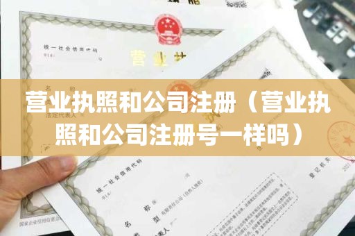 营业执照和公司注册（营业执照和公司注册号一样吗）