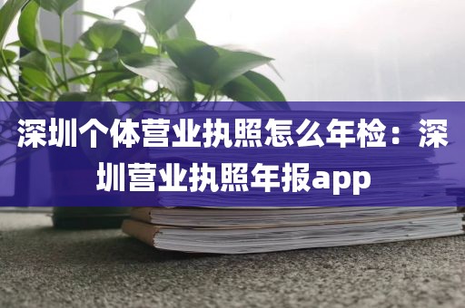 深圳个体营业执照怎么年检：深圳营业执照年报app