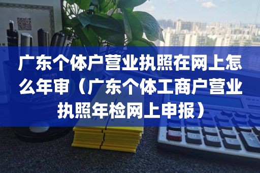 广东个体户营业执照在网上怎么年审（广东个体工商户营业执照年检网上申报）