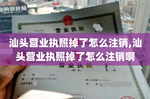 汕头营业执照掉了怎么注销,汕头营业执照掉了怎么注销啊