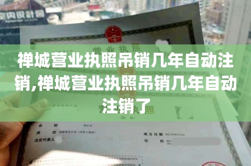 禅城营业执照吊销几年自动注销,禅城营业执照吊销几年自动注销了