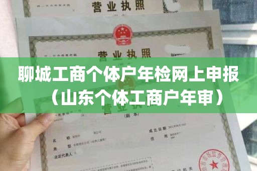 聊城工商个体户年检网上申报（山东个体工商户年审）