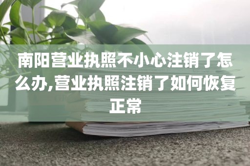 南阳营业执照不小心注销了怎么办,营业执照注销了如何恢复正常