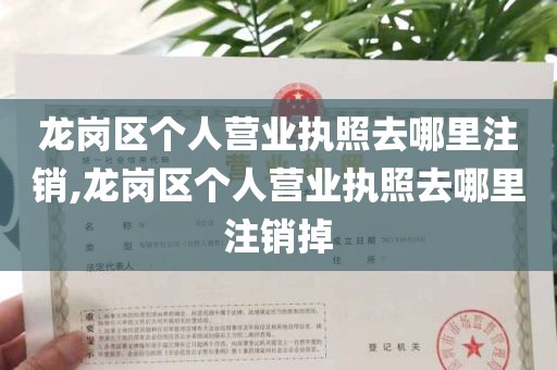 龙岗区个人营业执照去哪里注销,龙岗区个人营业执照去哪里注销掉