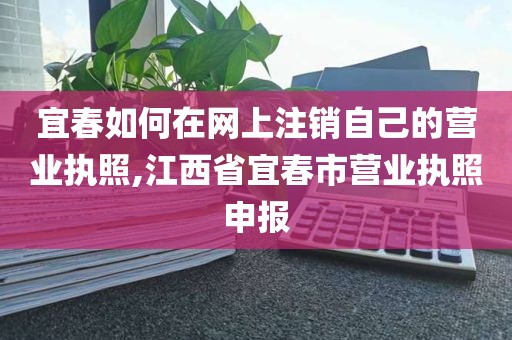 宜春如何在网上注销自己的营业执照,江西省宜春市营业执照申报