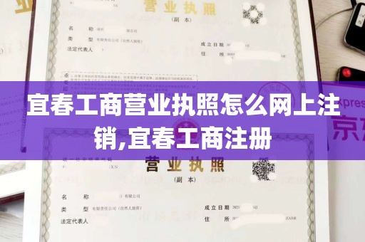 宜春工商营业执照怎么网上注销,宜春工商注册