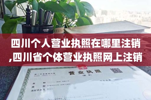四川个人营业执照在哪里注销,四川省个体营业执照网上注销
