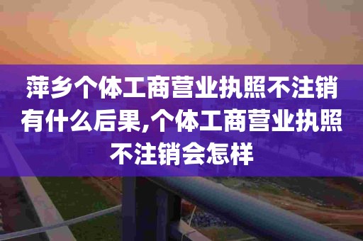 萍乡个体工商营业执照不注销有什么后果,个体工商营业执照不注销会怎样