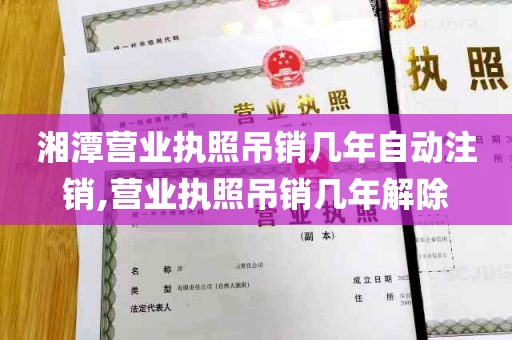 湘潭营业执照吊销几年自动注销,营业执照吊销几年解除