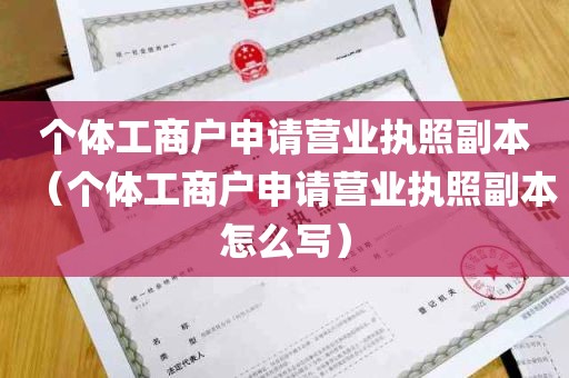 个体工商户申请营业执照副本（个体工商户申请营业执照副本怎么写）