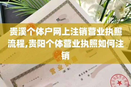 贵溪个体户网上注销营业执照流程,贵阳个体营业执照如何注销