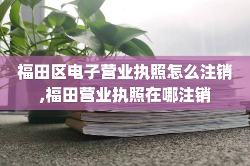 福田区电子营业执照怎么注销,福田营业执照在哪注销