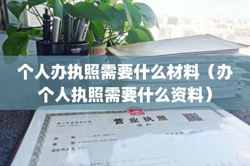 个人办执照需要什么材料（办个人执照需要什么资料）