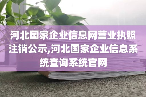 河北国家企业信息网营业执照注销公示,河北国家企业信息系统查询系统官网