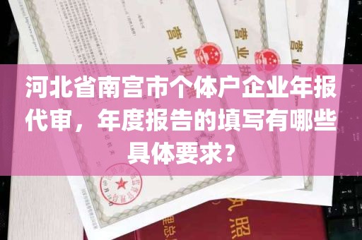 河北省南宫市个体户企业年报代审，年度报告的填写有哪些具体要求？