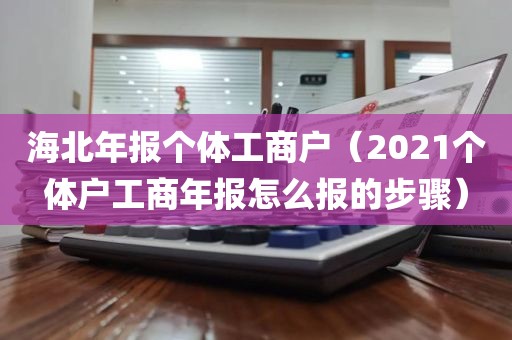 海北年报个体工商户（2021个体户工商年报怎么报的步骤）