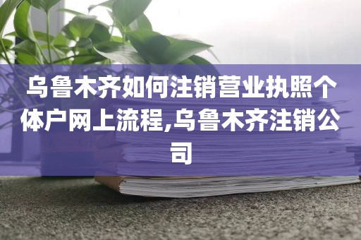 乌鲁木齐如何注销营业执照个体户网上流程,乌鲁木齐注销公司