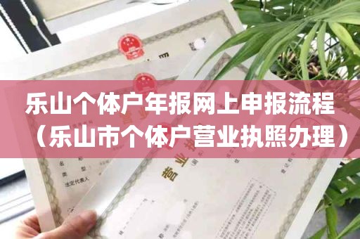 乐山个体户年报网上申报流程（乐山市个体户营业执照办理）