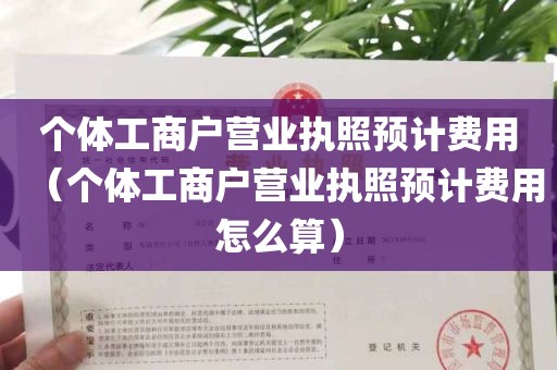 个体工商户营业执照预计费用（个体工商户营业执照预计费用怎么算）