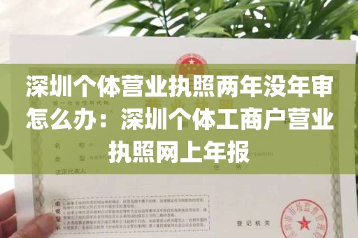 深圳个体营业执照两年没年审怎么办：深圳个体工商户营业执照网上年报