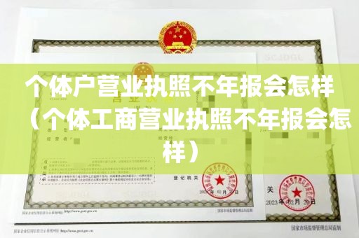 个体户营业执照不年报会怎样（个体工商营业执照不年报会怎样）