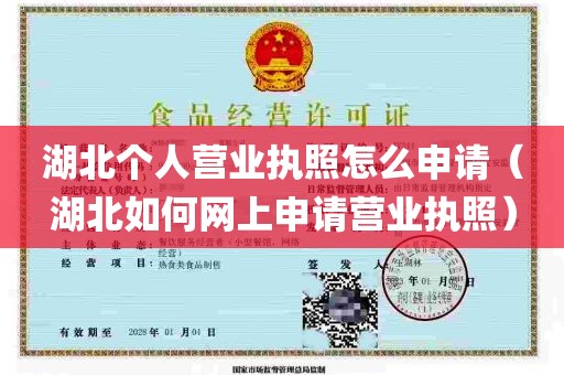 湖北个人营业执照怎么申请（湖北如何网上申请营业执照）