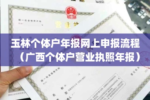 玉林个体户年报网上申报流程（广西个体户营业执照年报）