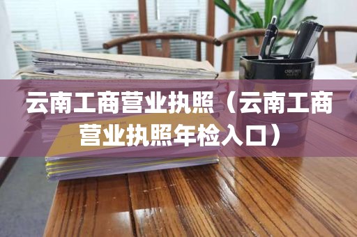 云南工商营业执照（云南工商营业执照年检入口）