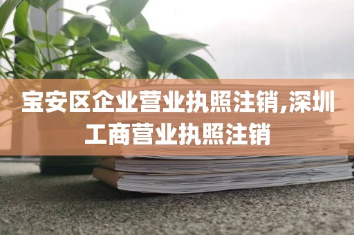 宝安区企业营业执照注销,深圳工商营业执照注销