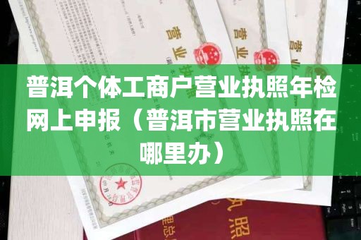 普洱个体工商户营业执照年检网上申报（普洱市营业执照在哪里办）