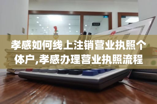 孝感如何线上注销营业执照个体户,孝感办理营业执照流程