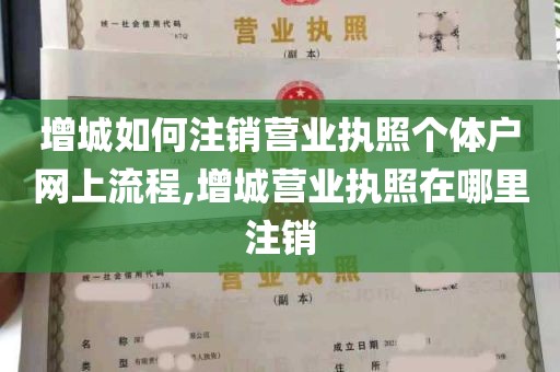 增城如何注销营业执照个体户网上流程,增城营业执照在哪里注销