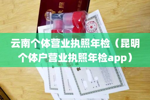 云南个体营业执照年检（昆明个体户营业执照年检app）