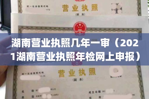 湖南营业执照几年一审（2021湖南营业执照年检网上申报）