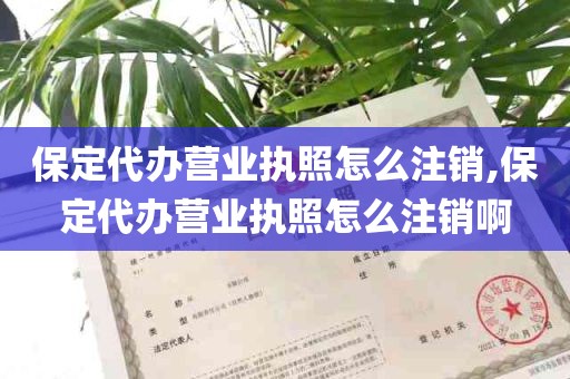 保定代办营业执照怎么注销,保定代办营业执照怎么注销啊