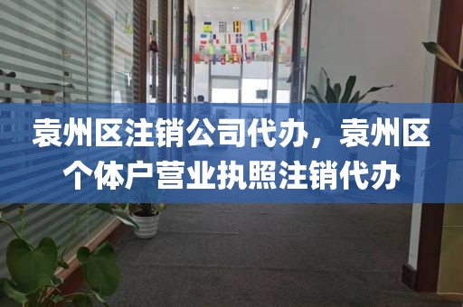 袁州区注销公司代办，袁州区个体户营业执照注销代办