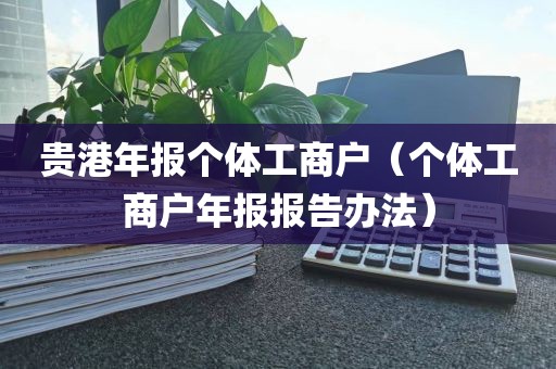 贵港年报个体工商户（个体工商户年报报告办法）