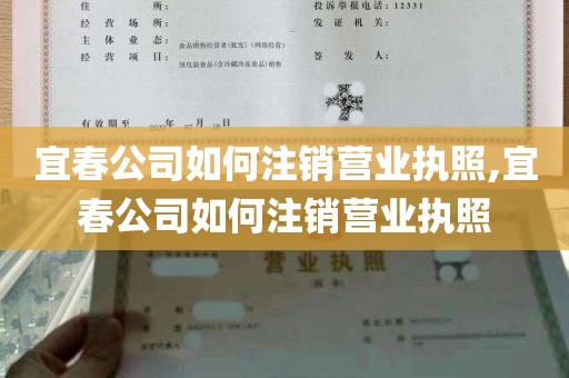 宜春公司如何注销营业执照,宜春公司如何注销营业执照