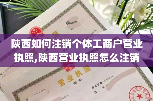 陕西如何注销个体工商户营业执照,陕西营业执照怎么注销