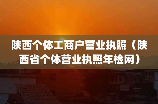 陕西个体工商户营业执照（陕西省个体营业执照年检网）