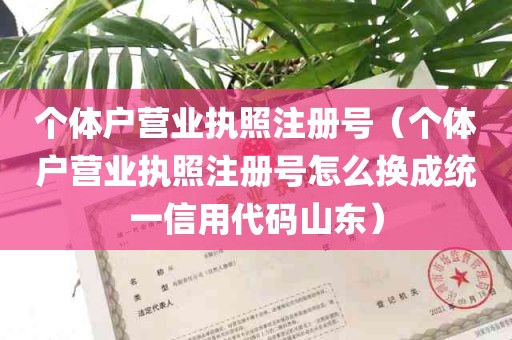 个体户营业执照注册号（个体户营业执照注册号怎么换成统一信用代码山东）