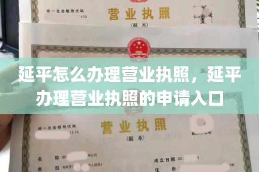 延平怎么办理营业执照，延平办理营业执照的申请入口