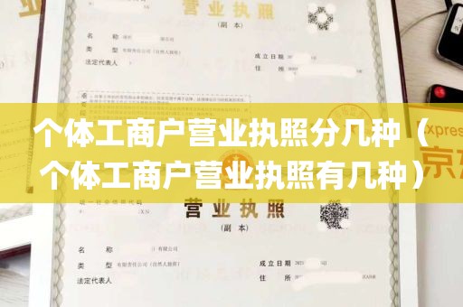 个体工商户营业执照分几种（个体工商户营业执照有几种）