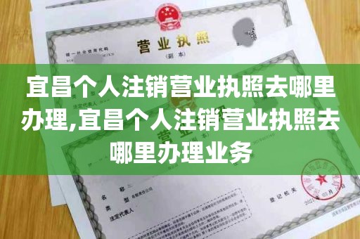 宜昌个人注销营业执照去哪里办理,宜昌个人注销营业执照去哪里办理业务