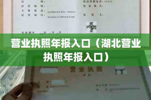 营业执照年报入口（湖北营业执照年报入口）