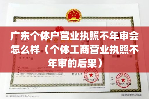广东个体户营业执照不年审会怎么样（个体工商营业执照不年审的后果）