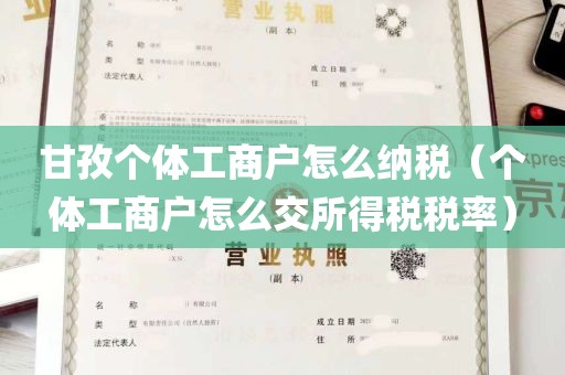 甘孜个体工商户怎么纳税（个体工商户怎么交所得税税率）