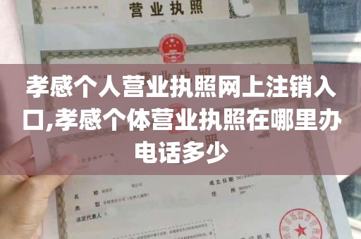 孝感个人营业执照网上注销入口,孝感个体营业执照在哪里办电话多少