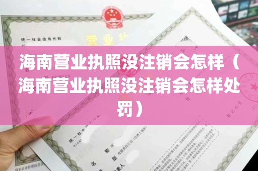 海南营业执照没注销会怎样（海南营业执照没注销会怎样处罚）