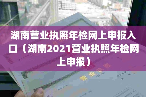 湖南营业执照年检网上申报入口（湖南2021营业执照年检网上申报）